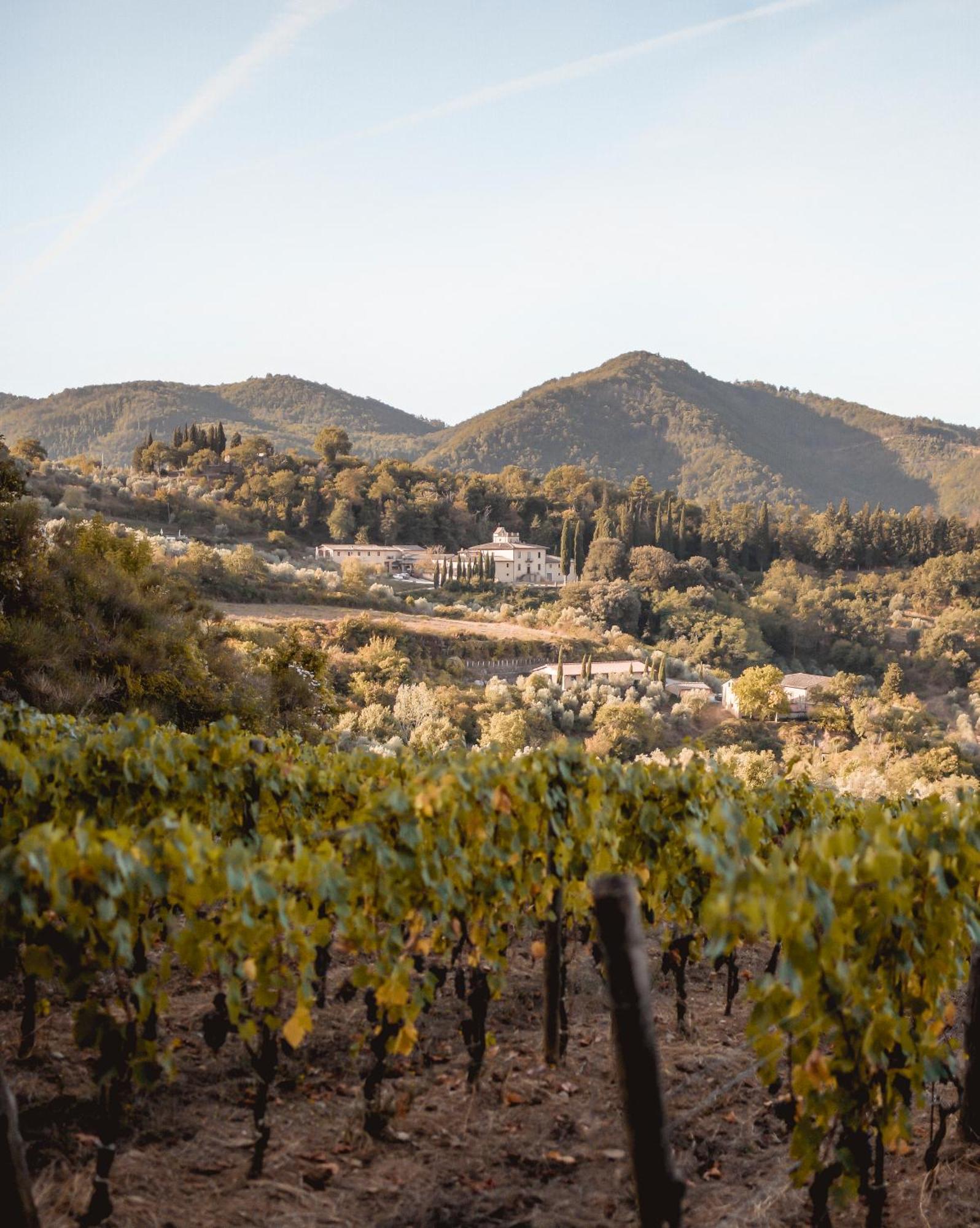 Tenuta La Novella Lejlighed Poggio Alla Croce Eksteriør billede