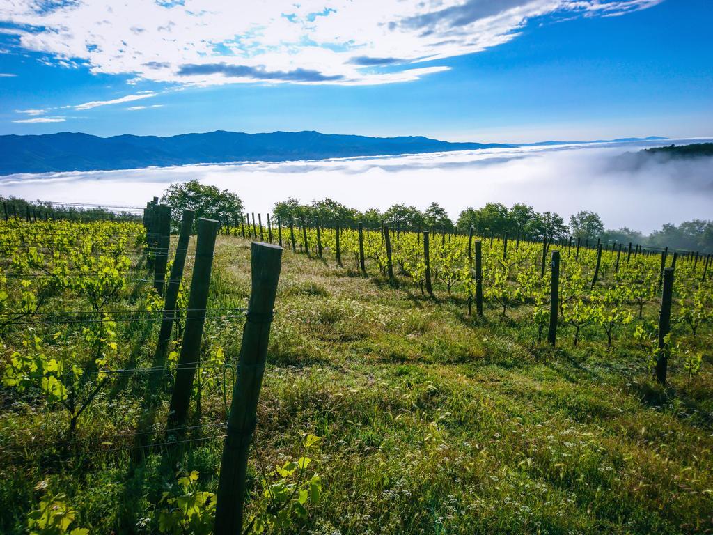 Tenuta La Novella Lejlighed Poggio Alla Croce Eksteriør billede