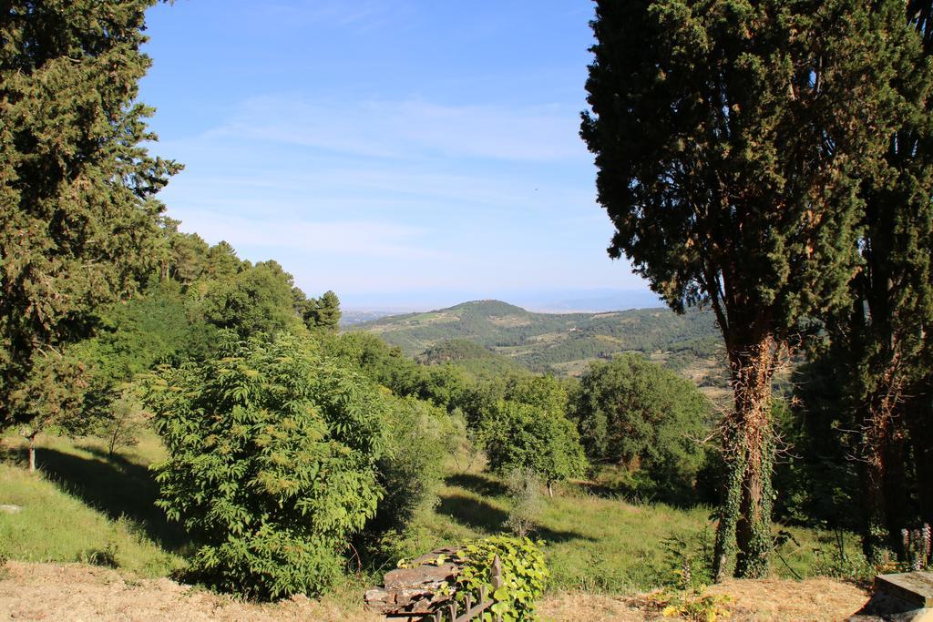 Tenuta La Novella Lejlighed Poggio Alla Croce Eksteriør billede